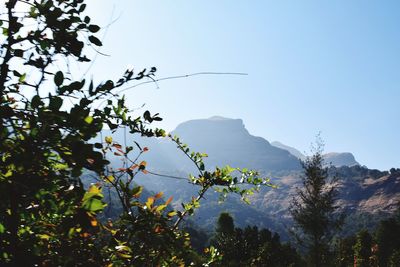 Scenic view of mountains against clear sky