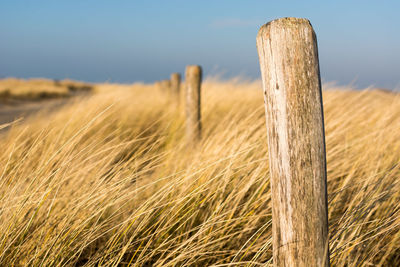 Close-up of wooden post on field against sky