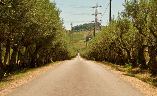 Road amidst trees against sky