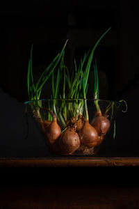 Close-up of vegetables on table against black background