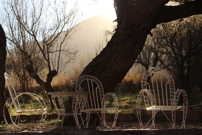 View of chair and table against bare tree and mountain