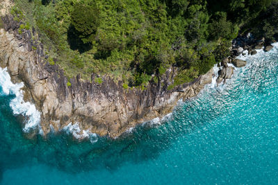 View of sea and trees