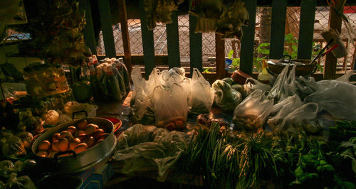 Panoramic shot of plants in glass container