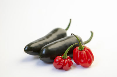 Close-up of red chili pepper against white background