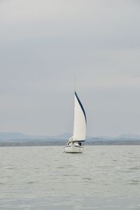 Sailboat sailing on sea against sky