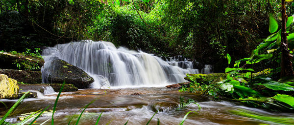 Scenic view of waterfall in forest