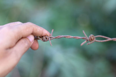 Close-up of hand holding barbed wire