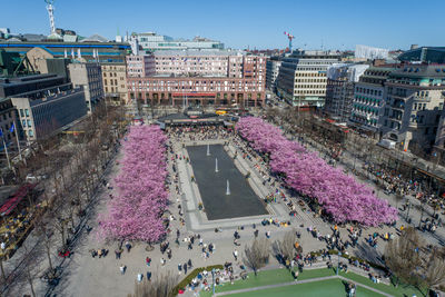 Stockholm downtown with blooming sakuras trees in background. sweden. drone point of view