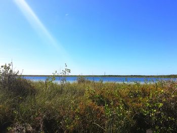 Scenic view of field against clear blue sky