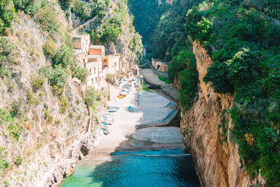 High angle view of river passing through plants