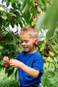 Candid portrait of a boy in the orchard during cherries harvesting.