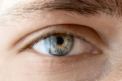 Close-up portrait of human eye