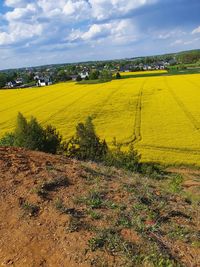 Scenic view of field against sky