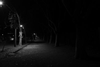 Illuminated street lights at night