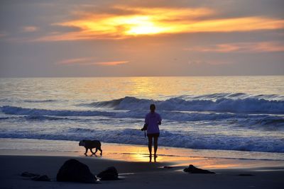 Full length of a horse on beach at sunset