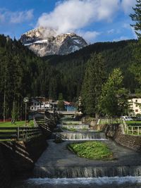 Scenic view of river amidst trees against sky