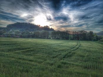 Scenic view of field against sky
