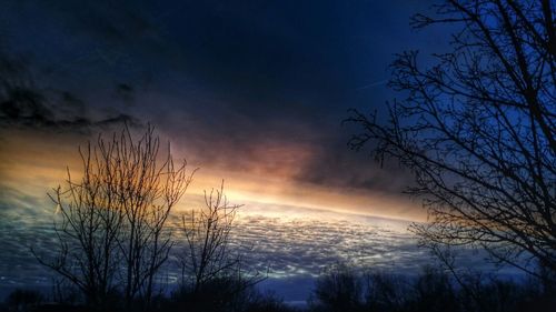 Bare trees at sunset