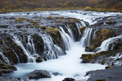 Scenic view of waterfall in forest