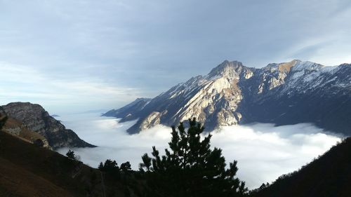 Low angle view of trees and mountains against sky