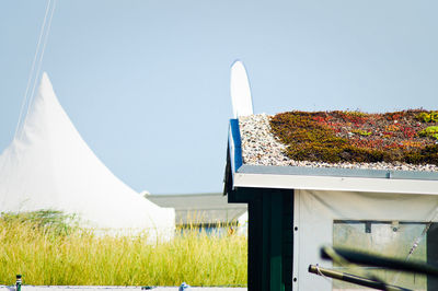 Panoramic shot of plants against clear sky