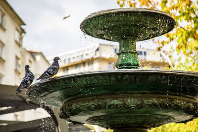 Low angle view of a fountain