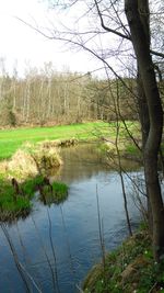 Scenic view of lake