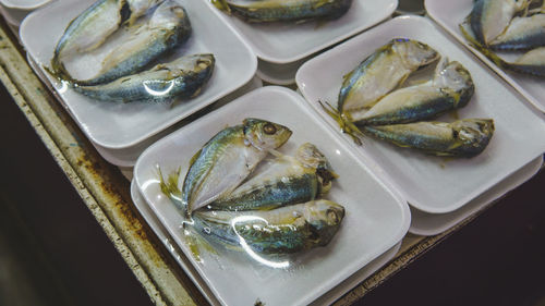 High angle view of fish in plate