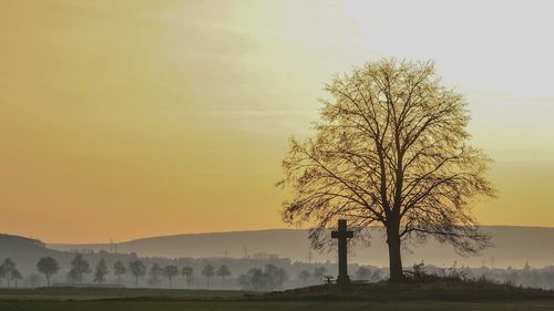 Tree by landscape against sky during sunset