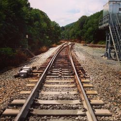 Railroad tracks amidst trees against sky