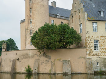 Low angle view of tree against building