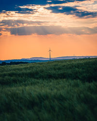 Scenic view of field against sky during sunset