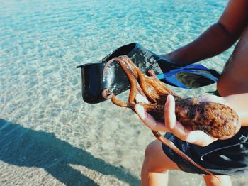 Low section of man holding octopus on shore