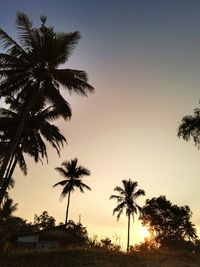 Low angle view of silhouette palm trees against clear sky