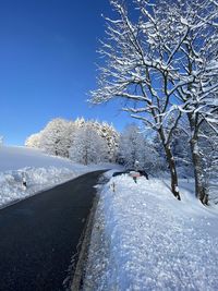 Snow covered road by trees against sky