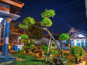 Plants and trees by building against sky at night