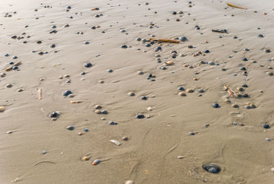 High angle view of footprints on sand at beach