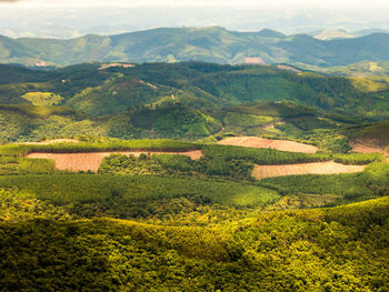 Scenic view of agricultural field