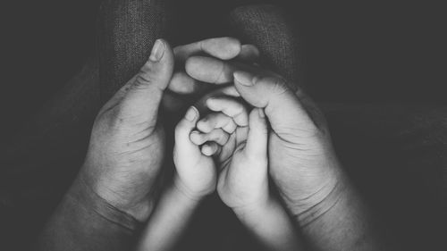 Close-up of baby holding hands