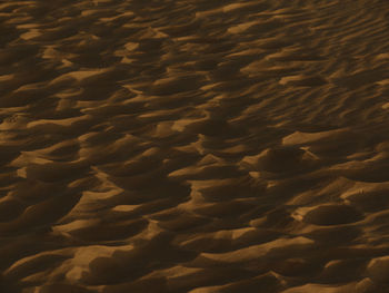 Full frame shot of sand dune