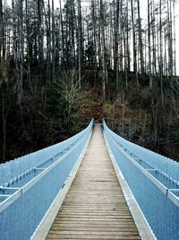 View of forest
