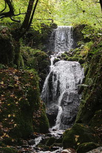Stream flowing through rocks in forest