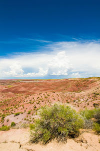 Scenic view of field against cloudy sky