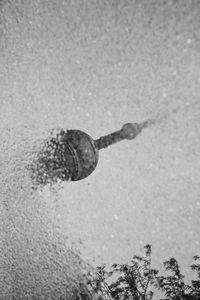 High angle view of a turtle in the sea