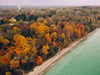 High angle view of trees on landscape during autumn