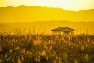 Scenic view of field against sky during sunset