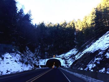 Road passing through trees