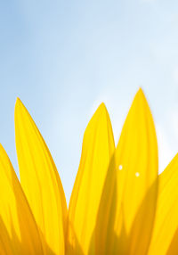 Low angle view of yellow umbrella against clear sky