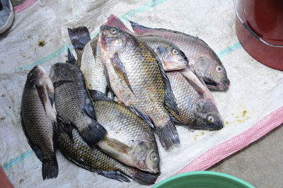 High angle view of fish for sale at market