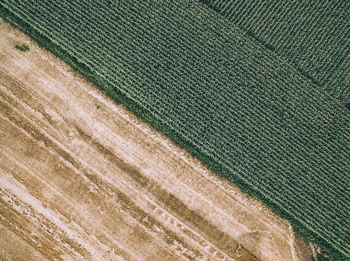 Full frame shot of cobblestone